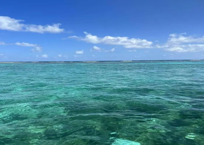 White Sands Cove A03-oceanfront 2 Bedroom By Floreo