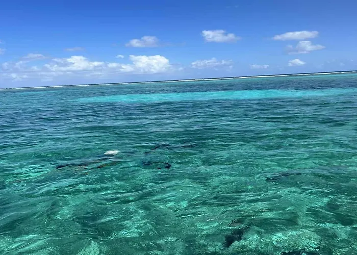 White Sands Cove A03-oceanfront 2 Bedroom By Floreo * San Pedro (Ambergris Caye)